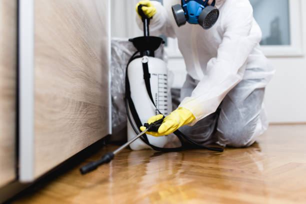 Best Best Pest Control Companies  in Canby, OR