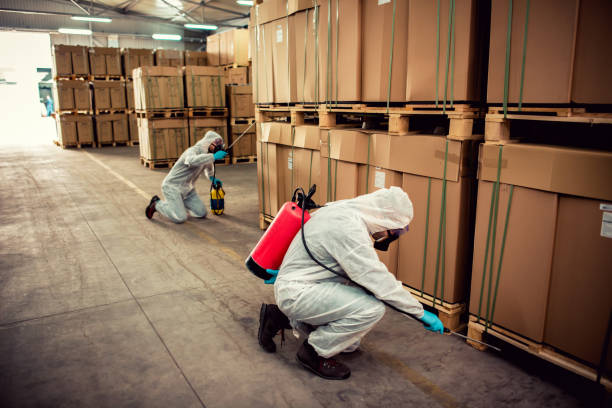 Best Pest Removal Services  in Canby, OR