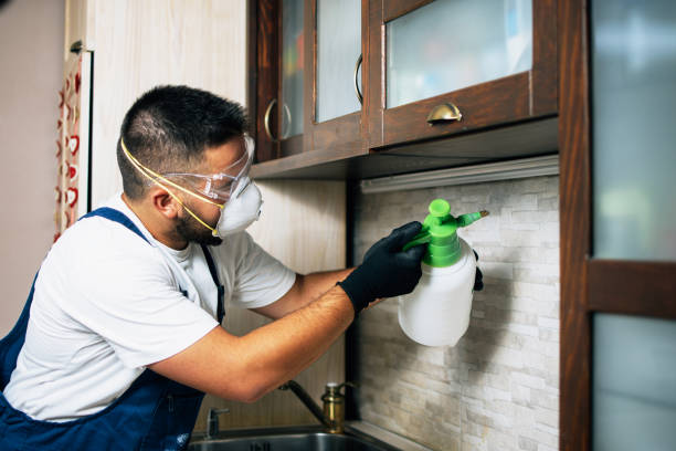 Best Pest Removal Services  in Canby, OR