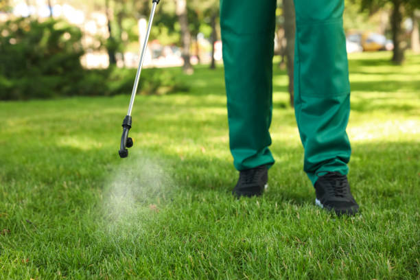 Best Bed Bug Extermination  in Canby, OR