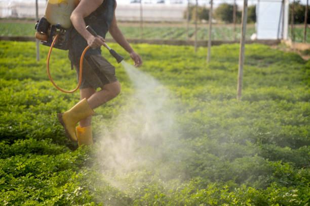 Best Best Pest Control Companies  in Canby, OR