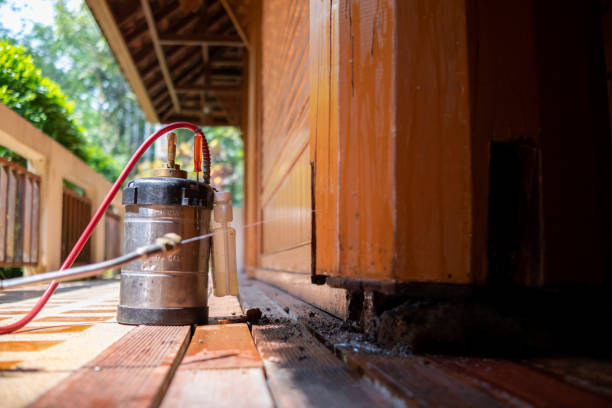 Best Cockroach Control Services  in Canby, OR