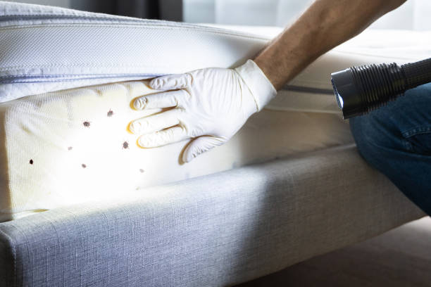 Best Affordable Pest Control Services  in Canby, OR
